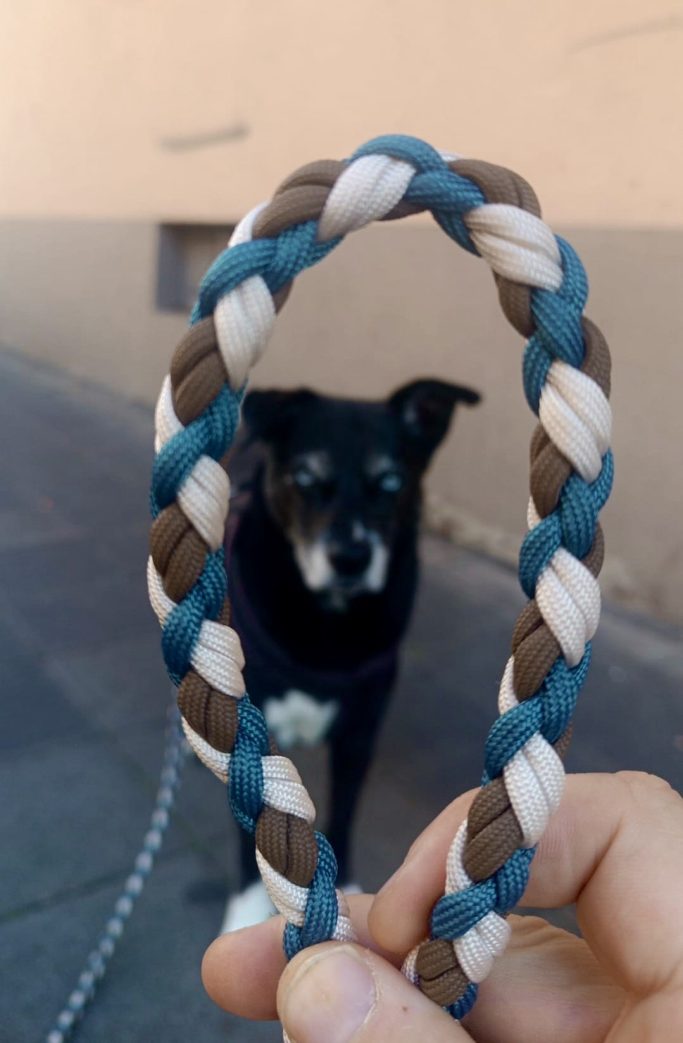 Ein Hund steht im Hintergrund, während eine geflochtene Leine in der Hand gehalten wird.